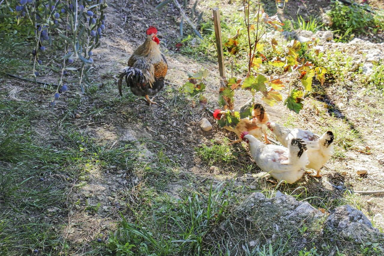 Ampelos Estate أكراتا المظهر الخارجي الصورة