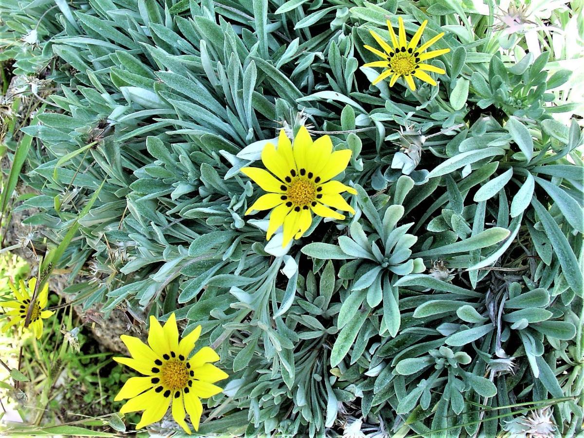 Ampelos Estate أكراتا المظهر الخارجي الصورة