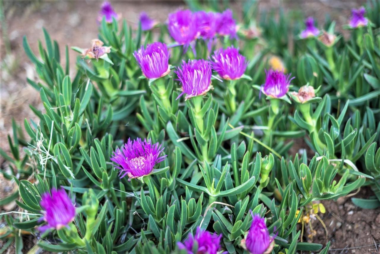 Ampelos Estate أكراتا المظهر الخارجي الصورة
